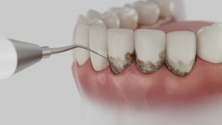 Reliable Dental contractor in Woburn, MA by Dentist Open Now